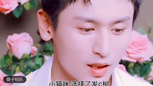 蔡加赞八卦爆料视频大全,揭秘娱乐圈幕后真相  第3张